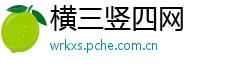 横三竖四网